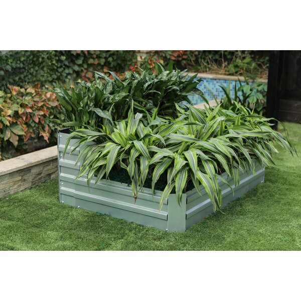 Arlmont & Co. Two-Tier Galvanized Raised Garden Bed | Wayfair